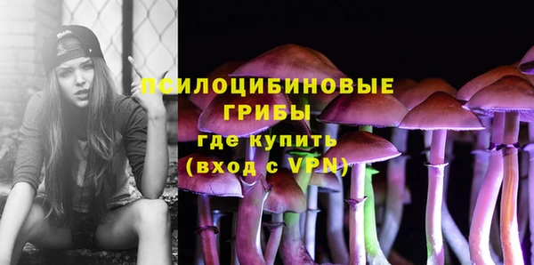 дмт Балабаново